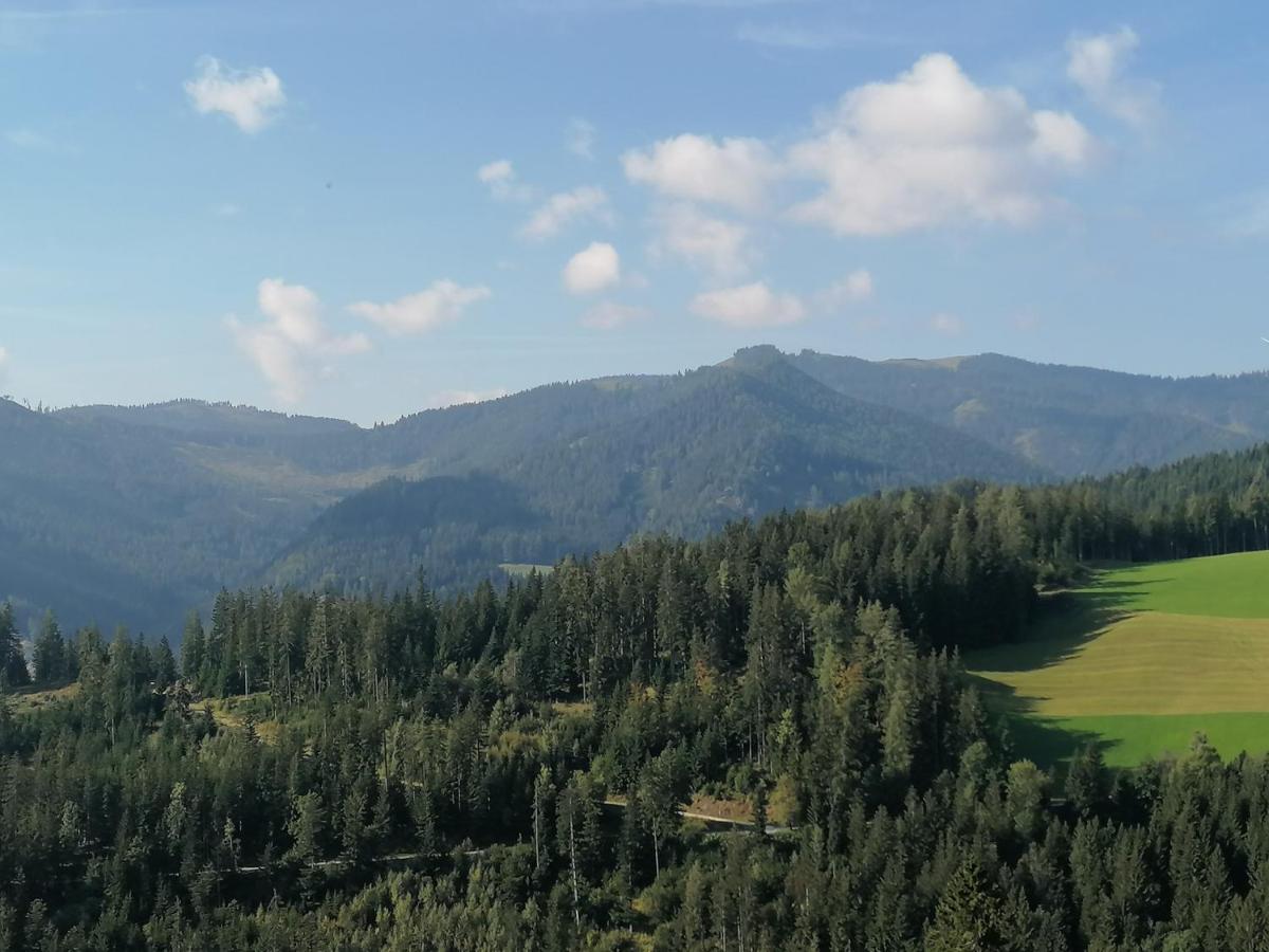 Ferienhaus Stubalpenblick Villa Salla Esterno foto