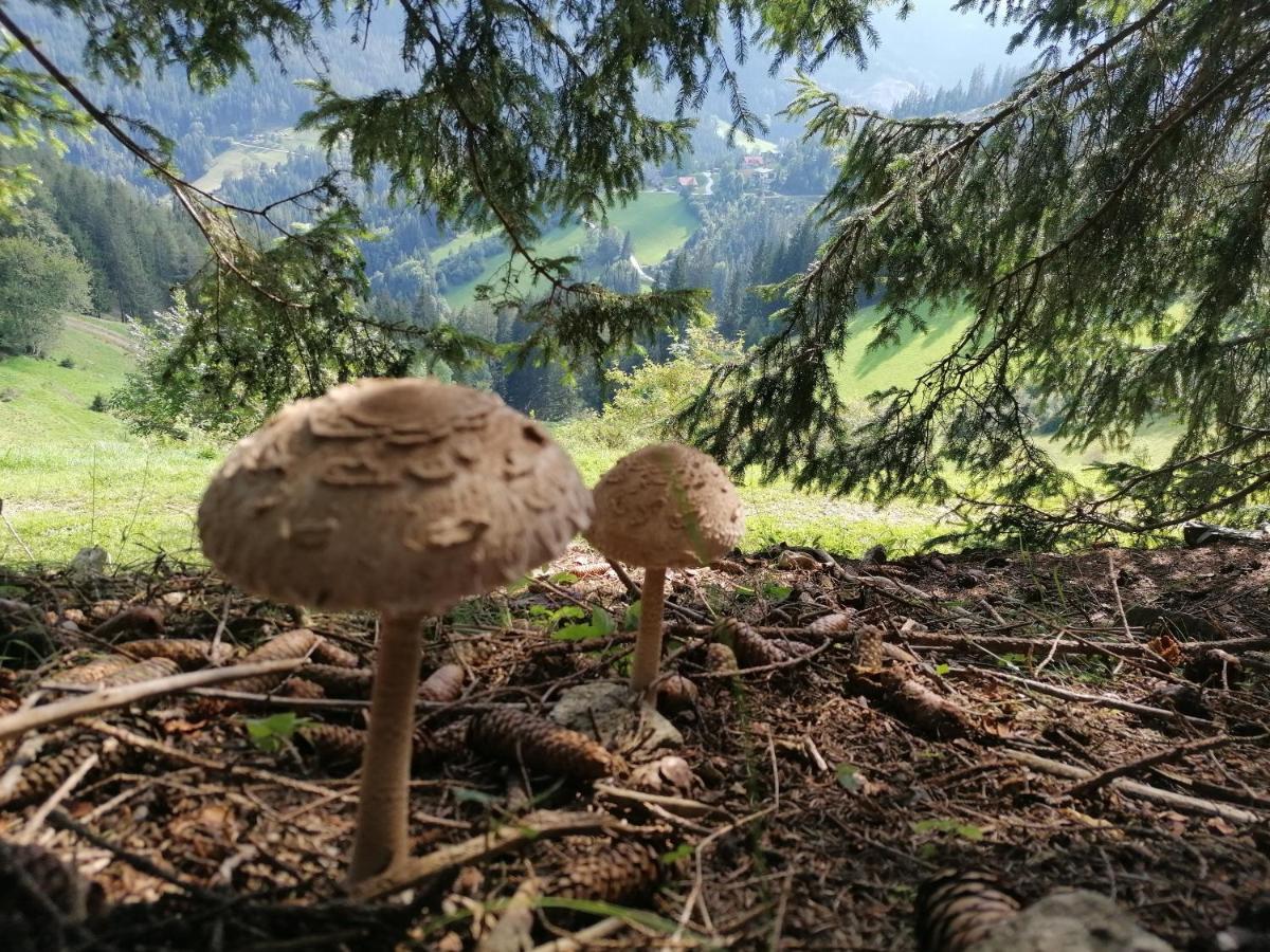 Ferienhaus Stubalpenblick Villa Salla Esterno foto