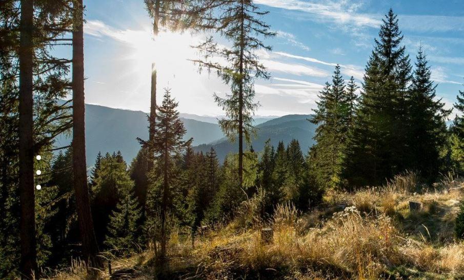 Ferienhaus Stubalpenblick Villa Salla Esterno foto